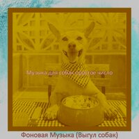 Фоновая Музыка (Выгул собак)