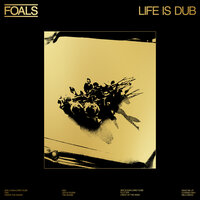 Flutter - Foals & Dan Carey