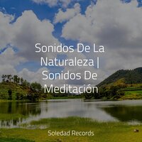 Iluminación - Massagem Coleção de Músicas & Piano para Relajarse & Naturaleza Sonidos