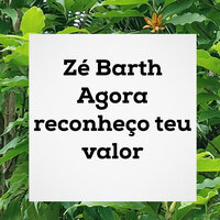 Agora Reconheço Teu Valor - Zé Barth