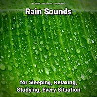 Rain Sounds for Sleeping and Relaxing Pt. 42 - Nature Sounds & Rain Sounds & Regengeräusche
