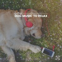 Dog Music to Relax