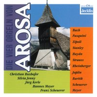 Blumen aus Arosa: No. 7, Blauer Enzian - Hannes Meyer