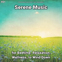 Serene Music, Pt. 13 - Relaxing Music by Darius Alire & Yoga & Relaxing music
