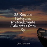 Brisa Marina - Masaje Tantrico Musica Colección & Musica Para Dormir y Sonidos de la Naturaleza & Música Relajante para Perros