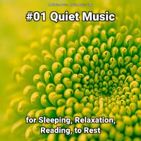 Fabulous Yoga Music - Meditation Music & Relaxing music & Yoga