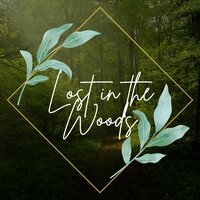 Lost in the Woods
