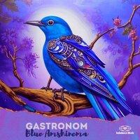 Blue Amshinema - Gastronom