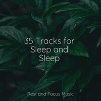 Connectivity - 俊倩 & Especialistas de Musica para Dormir & Meditation Music Experience