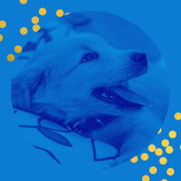 Trio Jazz Soundtrack for Doggy Mental Health - Cheerful Doggy Music