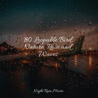 80 Loopable Bird, Nature, Rain and Waves