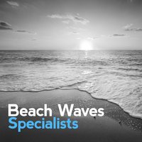 Beach Waves Specialists
