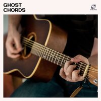 Tangled Vine - Smooth Guitar Lounge & Guitar Chillout Zone & Spanish Guitar Chill Out & Coffeehouse Guitar Music