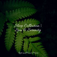 Sunshine Sunday - Sleeping Music & Relaxing Sleep Sound & Childrens Music