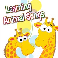 Learning Animal Songs