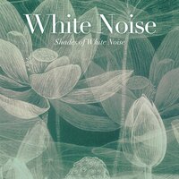 White Noise