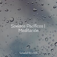 Sonidos Pacíficos | Meditación
