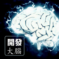 開發大腦 - 大腦發育