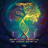 Zenith - Somatic