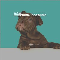 Exceptional Dog Music