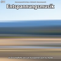 Entspannungsmusik Teil 8 - Entspannungsmusik Paul Esgen & Schlafmusik & Entspannungsmusik