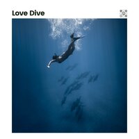 Ocean of Options - Coast to Coast Recordings