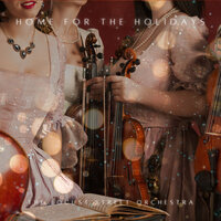 The Little Mouse - The Locust Street Orchestra