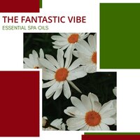 The Fantastic Vibe - Essential Spa Oils
