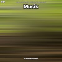 Musik Teil 46 - Entspannungsmusik Archiv & Schlafmusik & Entspannungsmusik