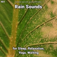 Rain Sounds to Focus - Rain Sounds & Nature Sounds & Rain Sounds by Elli Sabbatini