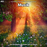 Einschlafmusik - Entspannungsmusik Sebastian Noiro & Schlafmusik & Entspannungsmusik
