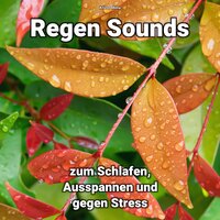 Regen zur Beruhigung - Kristof Molla