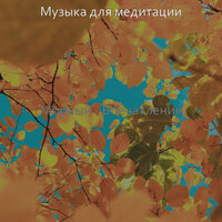Мирный - Впечатления
