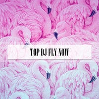 TOP DJ FLY NOW