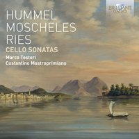 Grande sonate concertante in B-Flat Major, Op. 34: II. Andante doloroso - Un poco più mosso - Marco Testori & Costantino Mastroprimiano