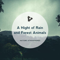 Calming Piano for Dogs - Nature Atmospheres