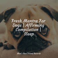 Drifting Off - Music for Calming Dogs & Music for Pets Library & Music for Dog's Ears