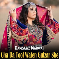 Nor Ba Da Sah Khkulay Ashna Yadawoma - Damsaaz Marwat