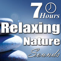 Fire - Crackling Log Fire - Nature Sounds