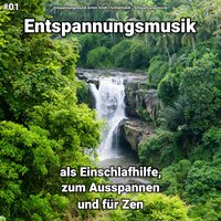 Instrumental für Dich - Entspannungsmusik & Schlafmusik & Entspannungsmusik Armin Sindt