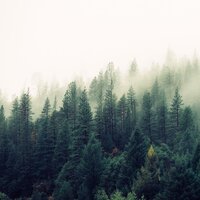 Pacific Dreams - Relaxing music & Nature & Sounds Backgrounds & Soothing White Noise For Infant Sleeping And Massage