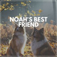 Noah's Best Friend