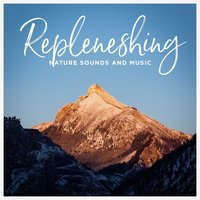 Path - Sleep Sounds Of Nature