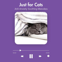 Whisker's Journey Home - Relax My Cat
