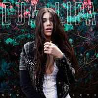 New Love - Dua Lipa & Jarreau Vandal