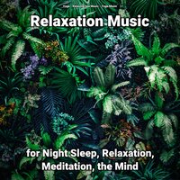 Relaxing Music for Dinner - Relaxing Spa Music & Yoga Music & Yoga