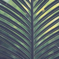 2020 Peaceful Tracks for Mindfulness and Chilling Out