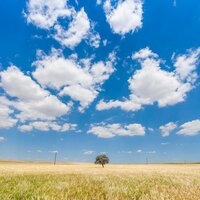 Spring Meditation Masters: Rain Sounds Collection