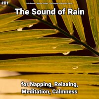 Insomnia Solutions - Rain Sounds & Nature Sounds & Rain Sounds by Anthony Ivanec