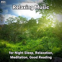 Relaxation Music Pt. 82 - Relaxing Music by Finjus Yanez & Yoga & Relaxing music